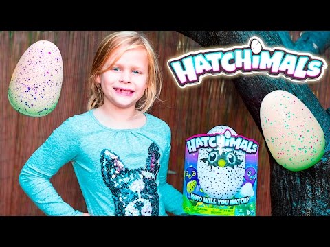 The Assistant Goes on a Hatchimals Surprise Hunt with PJ Masks