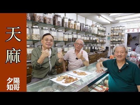 中藥篇 44｜天麻｜種植治未病 野生治中風