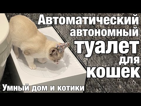 Умный автоматический кошачий туалет Российского производства. Умный дом и котики