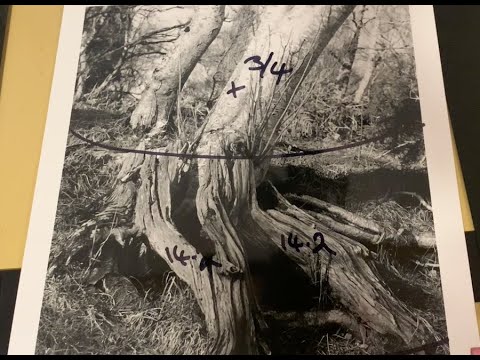 F-Stop Printing - Complete Guide