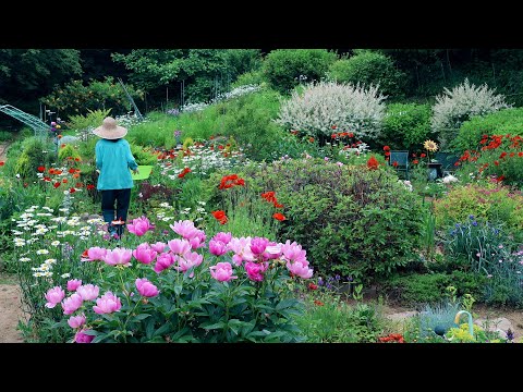 16 years of living in the Korean countryside~!!