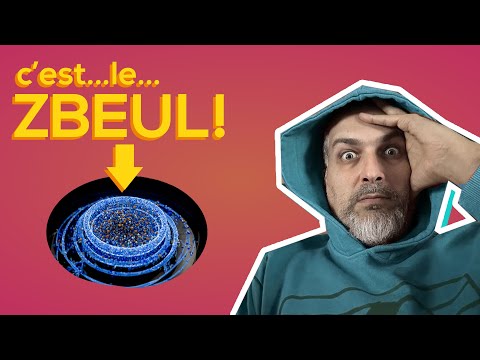 Le bestiaire des particules - Quickie 28