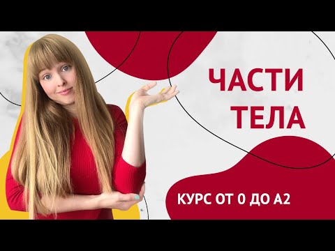 Части Тела на Испанском. Урок 18 [Курс Испанского Языка]