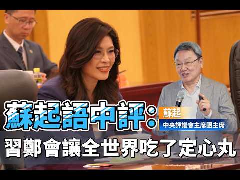 蘇起語中評：習鄭會讓全世界吃了定心丸 #鄭麗文 #國民黨 #兩岸關係 #蘇起 #習鄭會