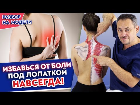 Shoulder blade pain is unbearable! This exercise quickly relieves back pain under the shoulder bl...