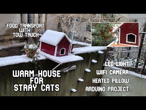 I Created The Most High-Tech Home For Neighborhood Felines--You Won't Believe What Happened Next!