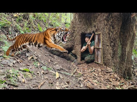 200 Days of Survival in the Wild, Trapping Skills, Wild Boar, Jungle Fowl, Night Hunting, Wildlife