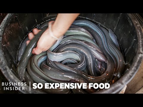 Why 4 Of The World's Priciest Seafoods Are So Expensive | So Expensive Marathon