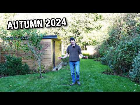 Harvesting sunflower seeds and stems - autumn garden update!