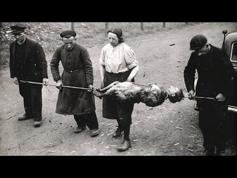 These 120 UNBELIEVABLE Old Images Reveal History's DARKEST SECRETS