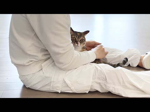 집사로 산다는 건..