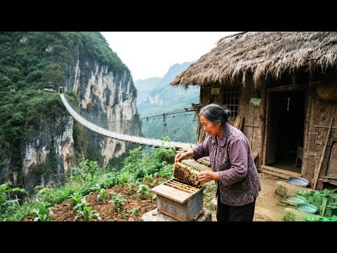 Village Atai 0818 Collection 11