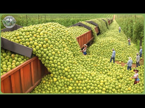 Modern Agriculture Machines on Another Level - Farmers Reap Billion Tons In Massive Harvests ▶ 4