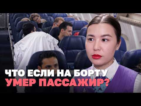 They sat on the flight attendant's tail and flew halfway across the country.