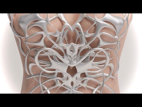 experimental df + db replication 𓏵 complete anatomical metamorphosis 💉﹙ 100 k ﹚