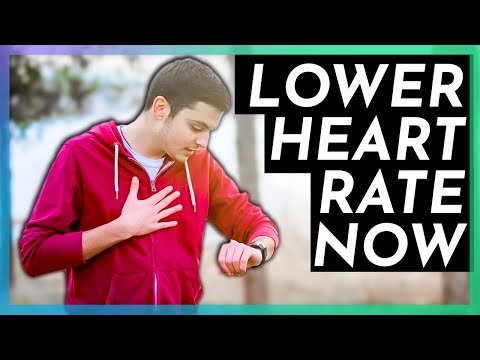 Why Your Heart Rate is High Running (Coaches Won’t Tell You This)