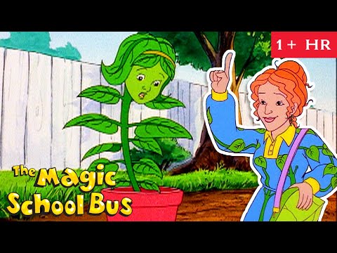 Photosynthesis, Rainforests and Erosion | Full Episodes | The Magic School Bus | Scholastic Classic
