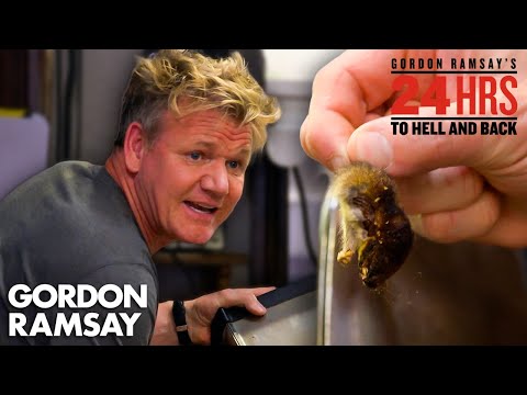 Gordon Finds Dead Mice, Cockroaches & MORE... | 24 Hours to Hell & Back | Gordon Ramsay