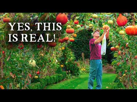 He Grew a 40m (130ft) Edible Tunnel - Pumpkins, Pears & More!