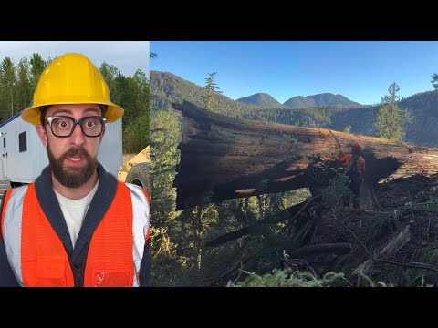 Smart Workers with Impressive Work Hacks✅