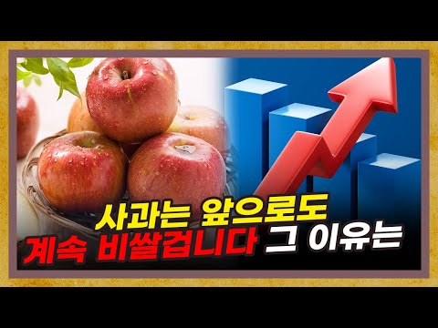 사람들이 모르는 사과 폭등의 진짜 이유 (f.남재작 소장) [농업 21부 - 사과 특별편]