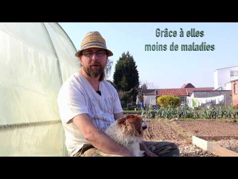 Episode 20 : Je n'ai pas peur des limaces !!