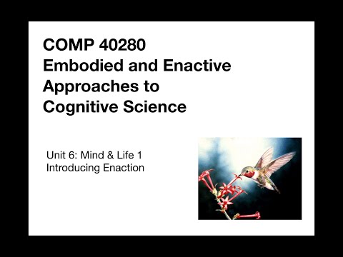 Introduction to Enaction, Part 1