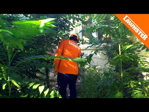 We MOWED and Cleared a JUNGLE in This Family's Backyard for FREE!