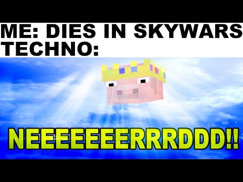 technoblade memes that make you proud