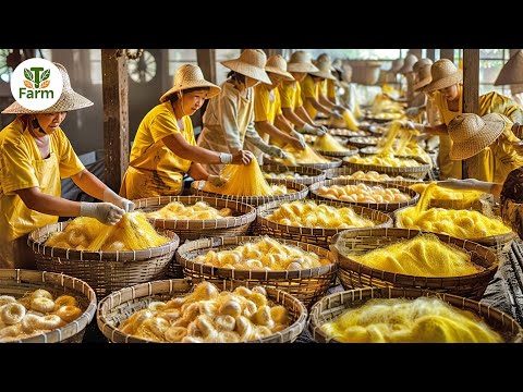 How Chinese Farmers Raise Millions of Silkworms for Silk | Agricultural Documentary