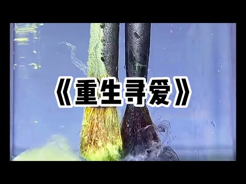 《重生寻爱》一口气看完#小说 #已完结