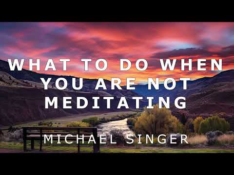 Michael Singer - What to Do When You Are Not Meditating