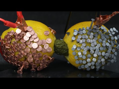 Lemon Battery 🍋🔋 Explained ⚡ with Pickle Salt Bridge!