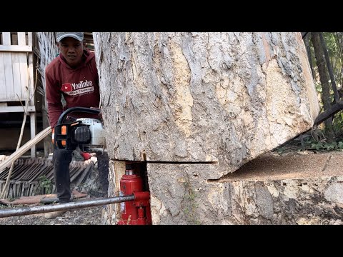 One small mistake can be fatal... felling 2 trees near housing, Stihl ms 881.