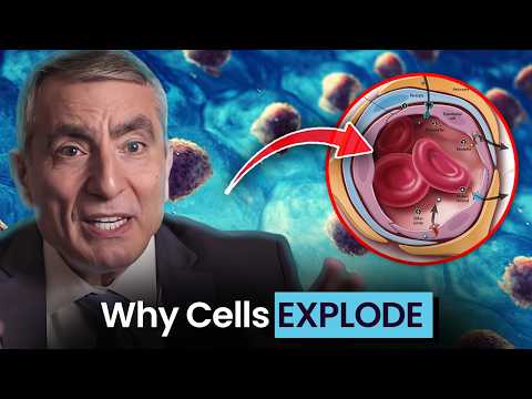 Why No One Has Ever Built a Cell From Scratch