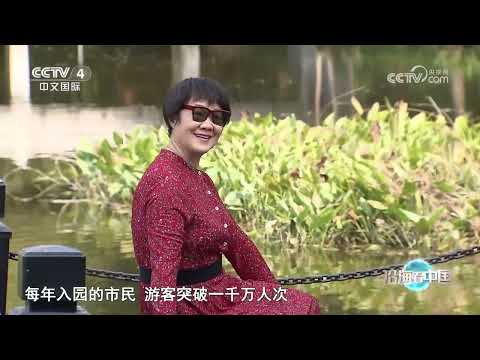 《远方的家》 20240102 沿海看中国（38） 家在广州|CCTV中文国际