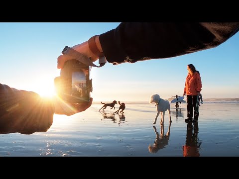 i asked strangers to take a photo of their dog in Tofino BC