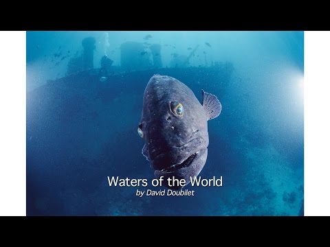 David Doubilet - Waters of the World