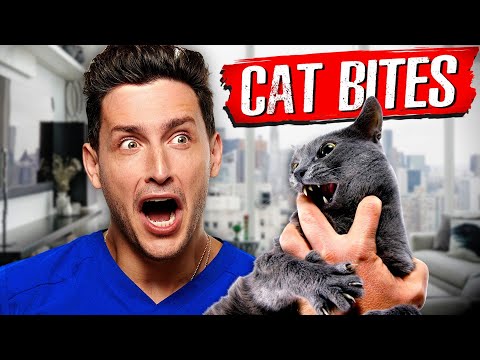 Why Cat Bites Are Actually So Dangerous | RTC 35
