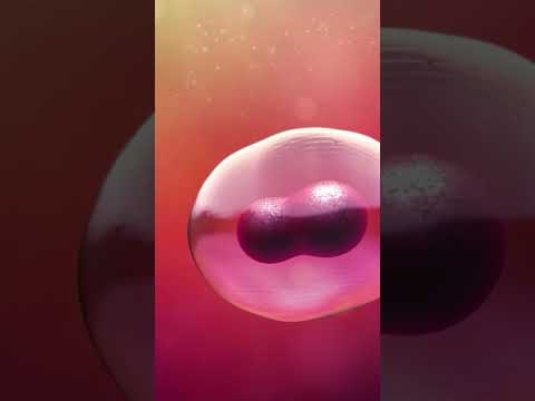 The Role Of Chance In Who We Are