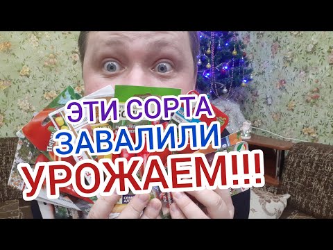 САМЫЕ УРОЖАЙНЫЕ СОРТА ПЕРЦА!!!🌱🌶