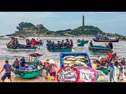 Làng Chài Nằm Cạnh Hải Đăng Cổ Nhất Việt Nam | Mũi Kê Gà Tuyệt Đẹp Ngày Nước Rút Sâu