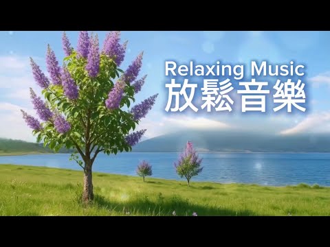 放鬆音樂Relaxing Music | 湖畔清風，紫花樹影，碧水依山柔靜悠遠，舒心寧靜的輕音樂 ｜#輕音樂 #寧靜音樂 #放鬆 #冥想 #睡眠 #softmusic 