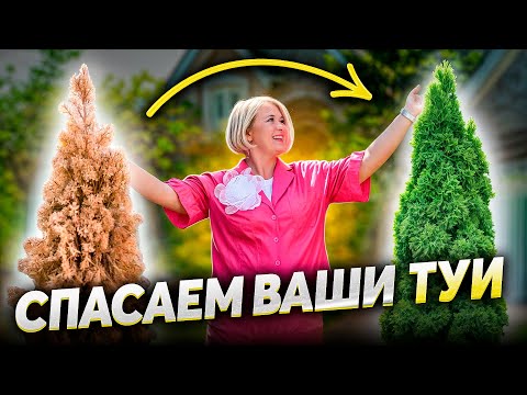 DON'T MAKE THESE MISTAKES IF YOU WANT A GREEN AND FLUFFY THUJA...