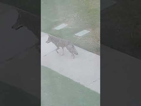 Views Glitch #helpmemakethismakesense