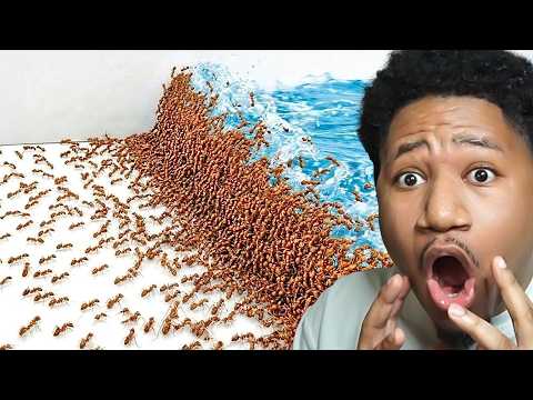 1,000 Ants vs. Natural Disasters