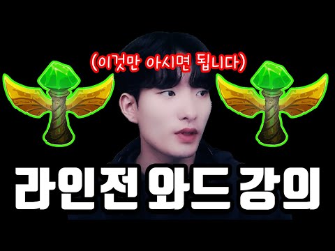 서포터라면 꼭 알아야 하는 라인전 시야 강의 【Part 1】【서폿 강의】