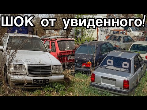 FOUND hundreds of ABANDONED cars from the 80s and 90s. RARE Mercedes!