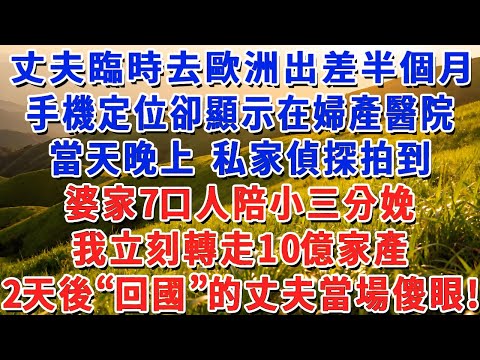 丈夫臨時去歐洲出差半個月,手機定位卻顯示在婦產醫院,當天晚上 私家偵探拍到婆家7口人陪小三分娩,我立刻轉走10億家產,2天後“回國”的丈夫當場傻眼!#小娟講故事 #情感故事 #老年生活