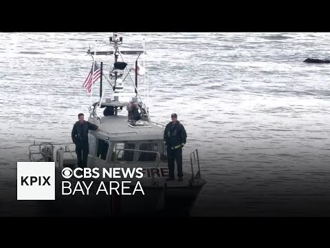 Swimmer who went missing at Lover’s Point in possible shark encounter identified